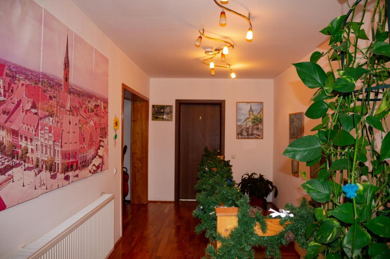 Celeste House 锡比乌 外观 照片