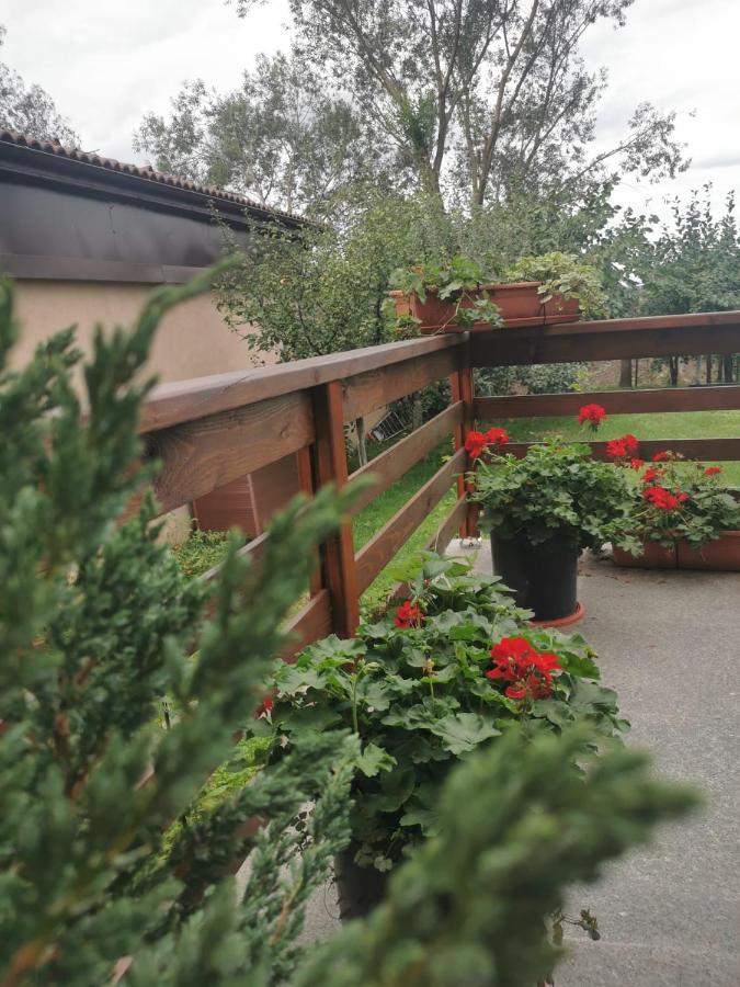 Celeste House 锡比乌 外观 照片