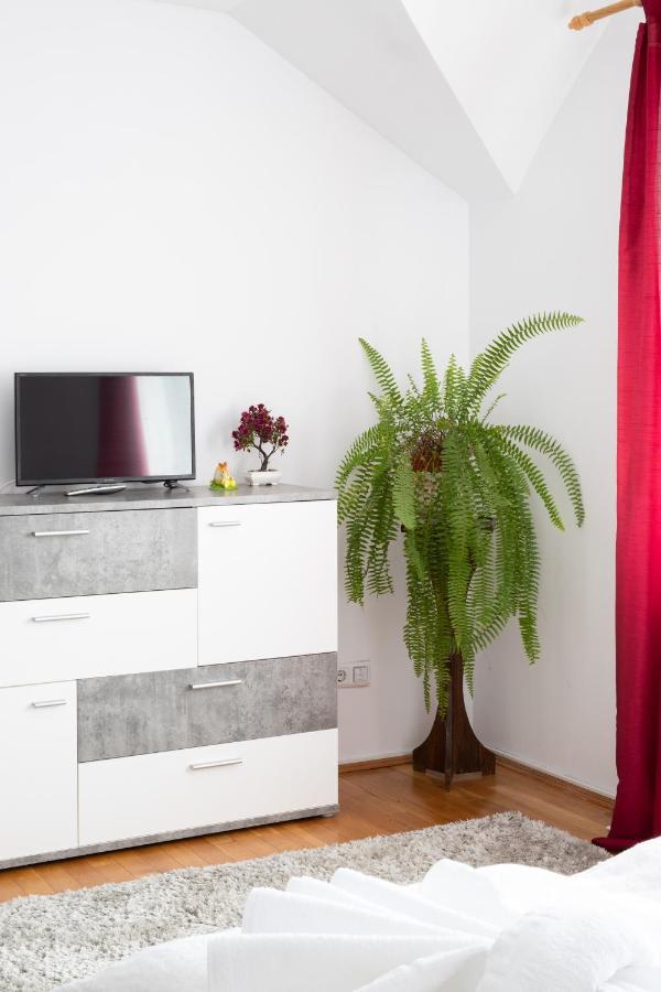 Celeste House 锡比乌 外观 照片